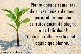 CURSOWebCento&11L###Cursos e aulas informática, internet e planilhas domicilio