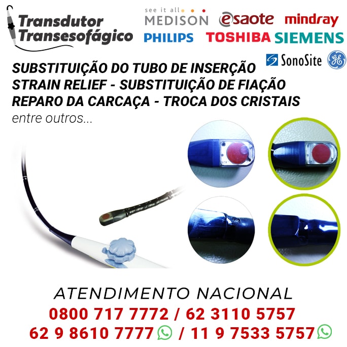 TRANSDUTORES TRANSESOFAGICOS, VENDAS E MANUTENÇÃO TODO O BRASIL