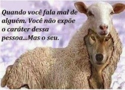 Propaganda Digital @@@ Merchandising Digytal & Marketing, anúncios na internet