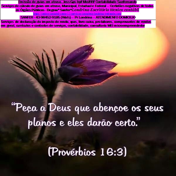 Emissão de guias em atraso…Inss-Gps-Irpf-Mei### Contabilidade Sanfernando