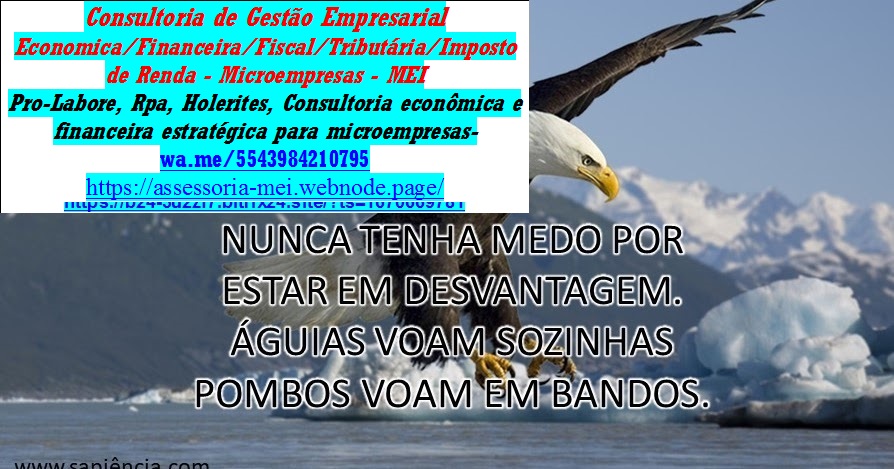 DASN SIMEI – Declaração Anual do Simples Nacional