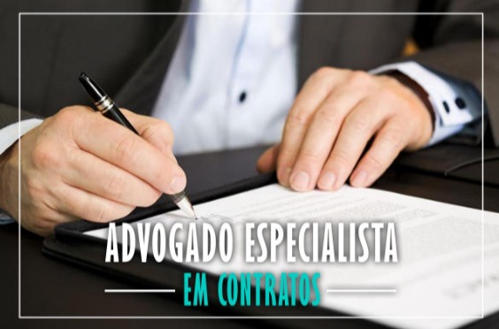 Advogado Especialista Em Empresa