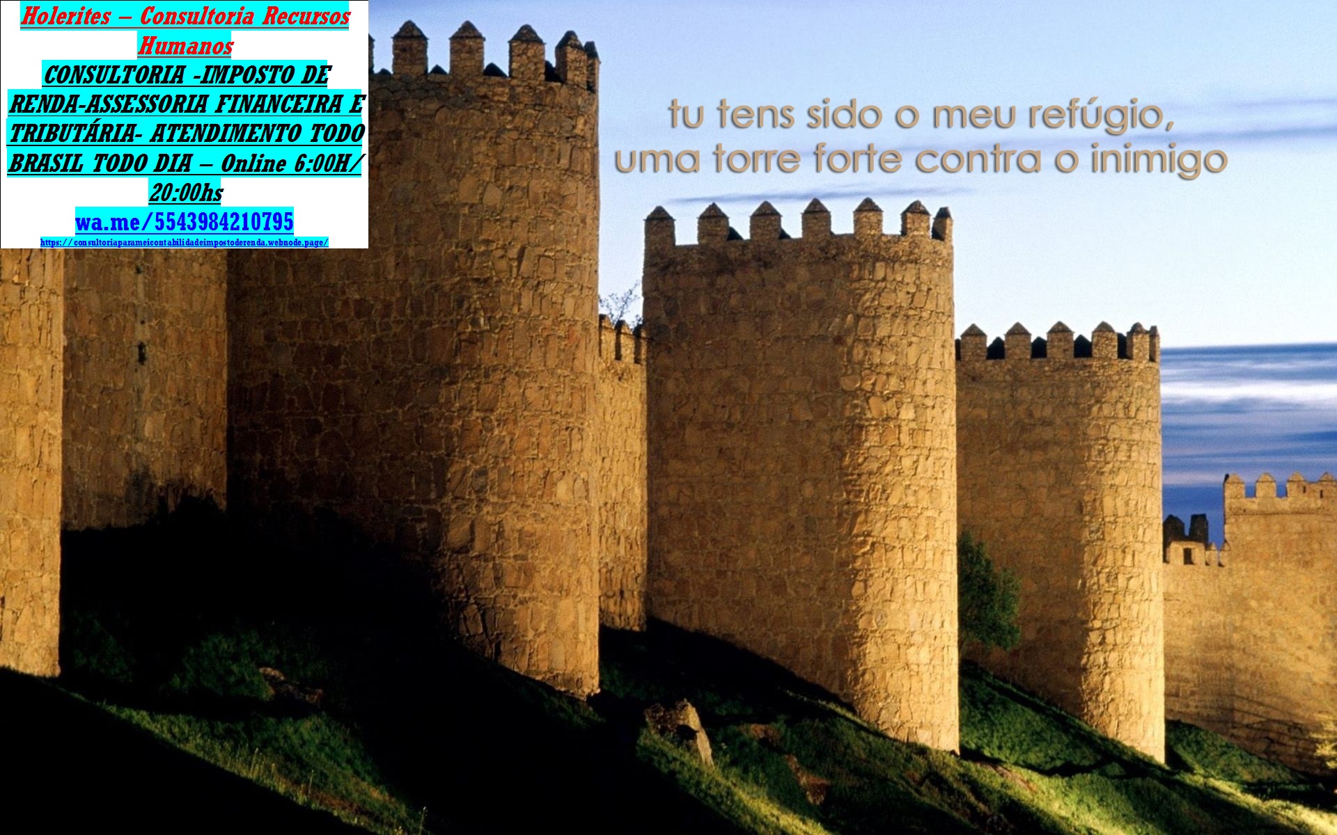 Consultoria Financeira  CONSULTORIA -IMPOSTO DE RENDA