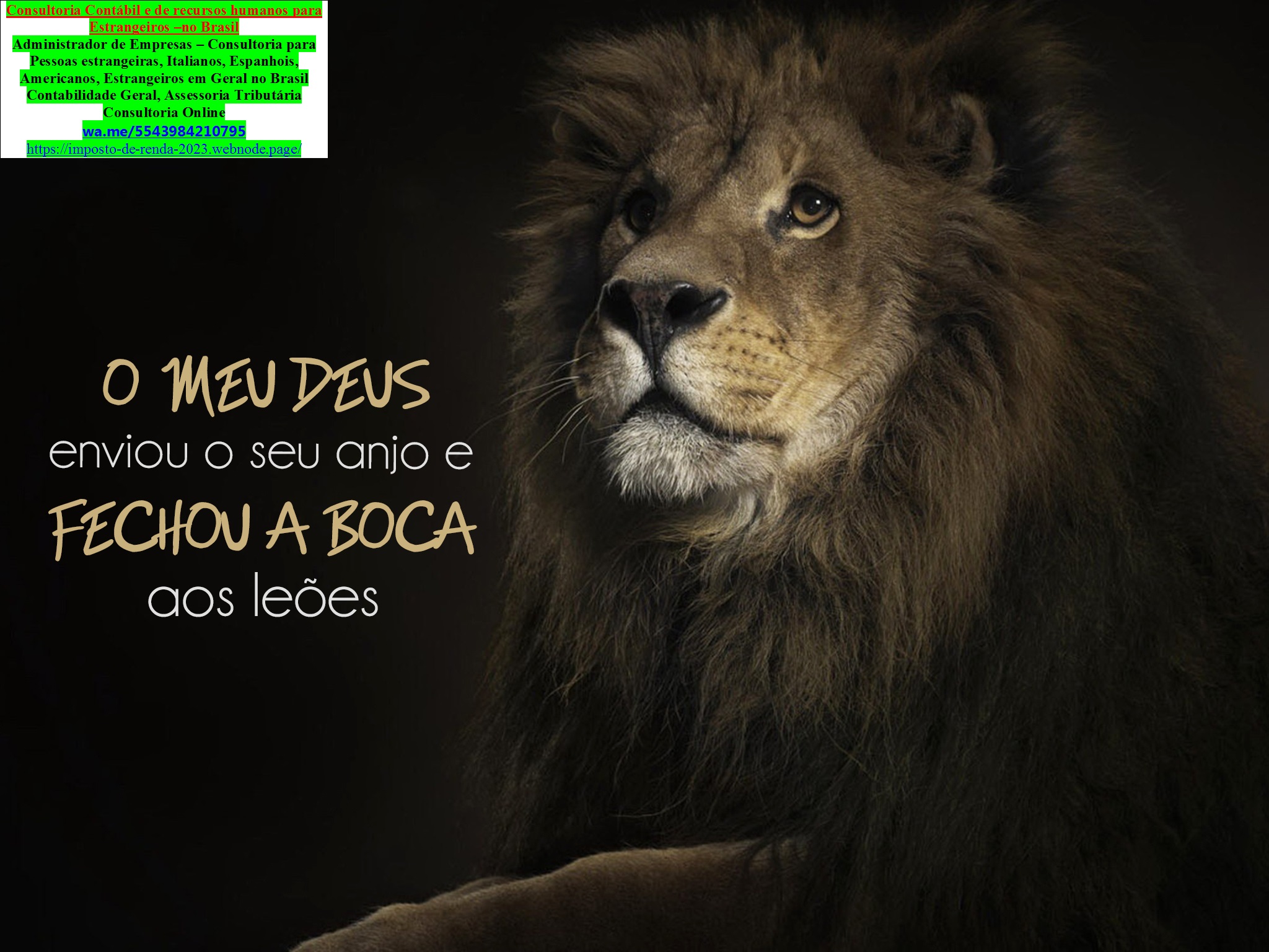 antiguidades/ Antiquário/usados–entrega todo brasil Atendimento brasil
