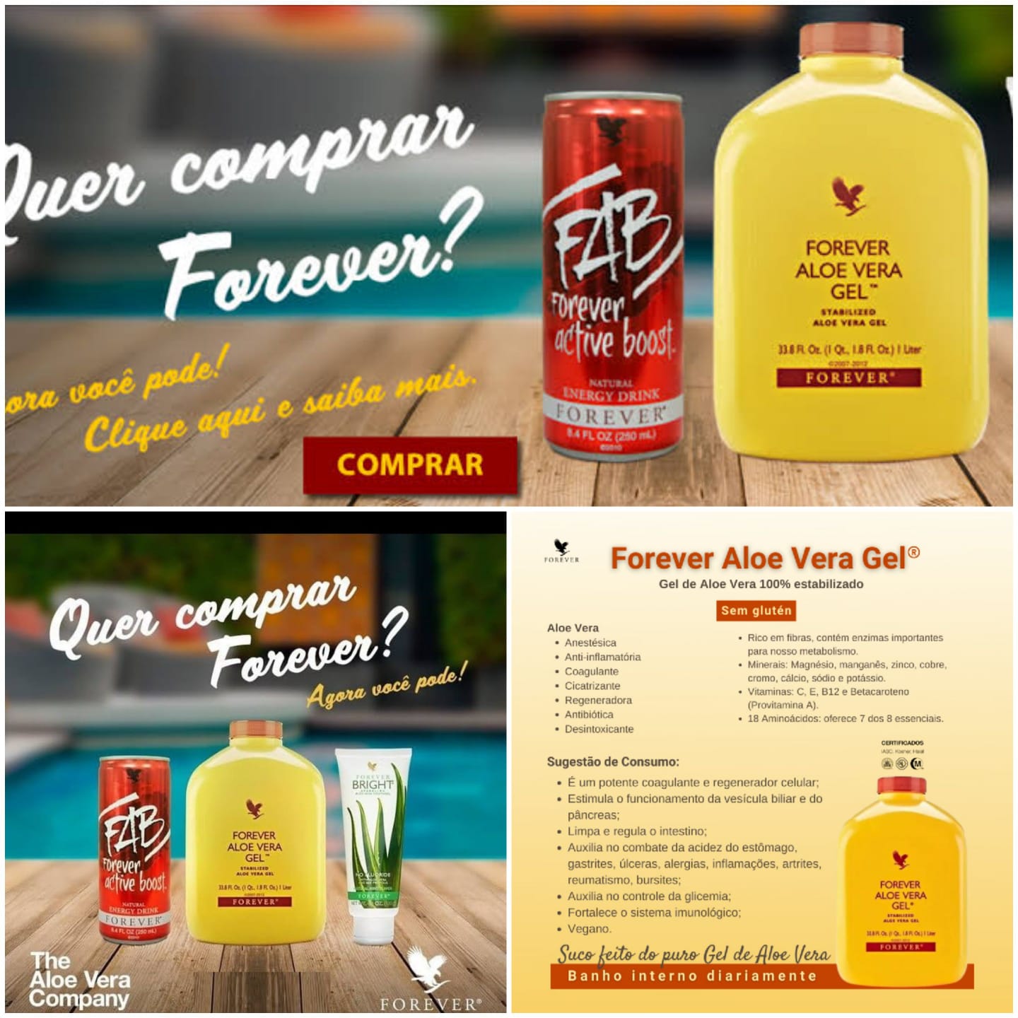 Forever Living – Seja representante na sua região – Consulte-nos