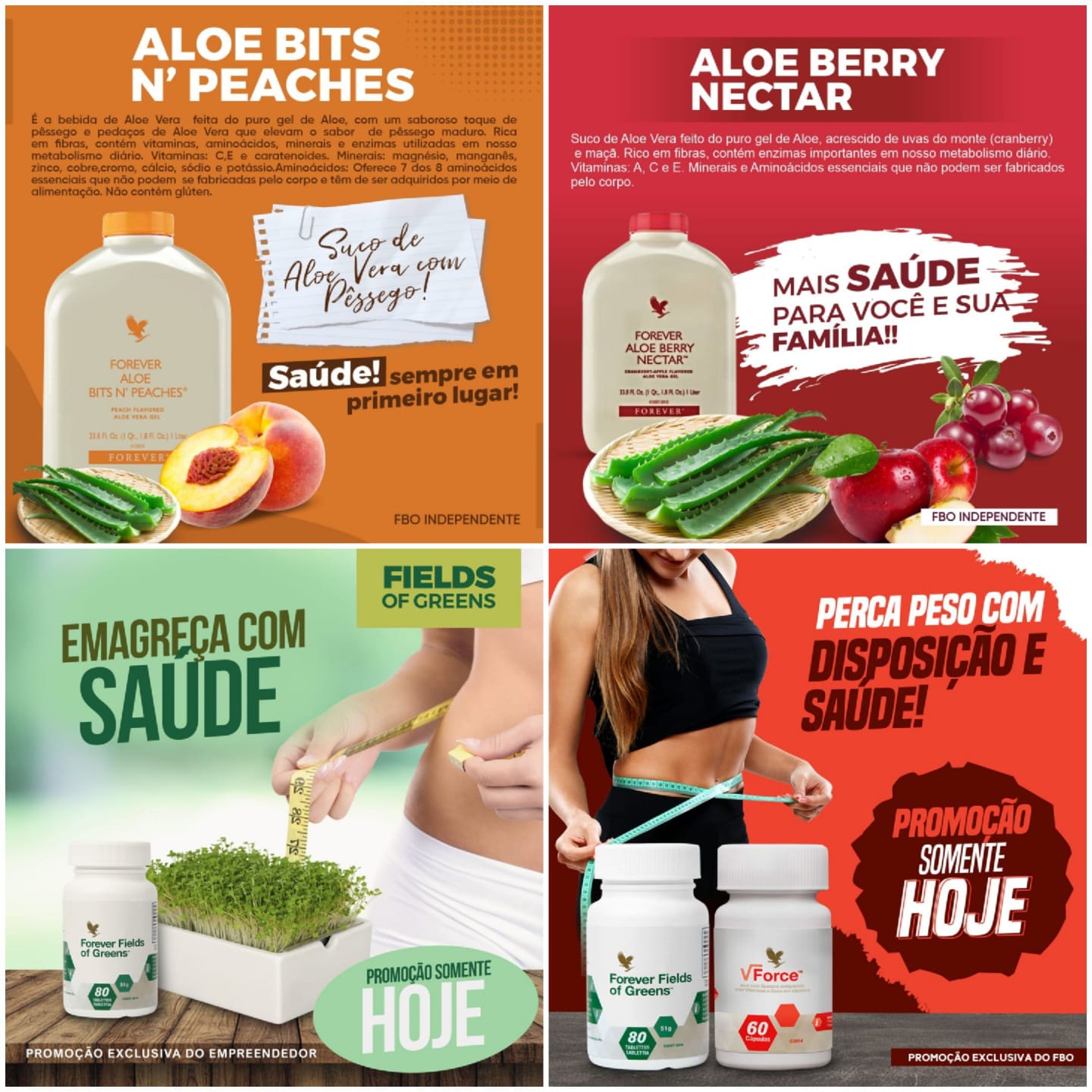 Seja representante dos produtos Forever Living na sua cidade