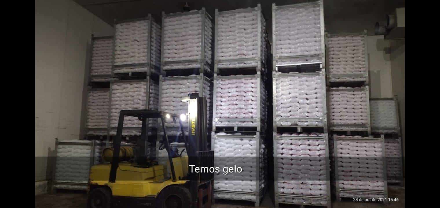Pallets completos (gaiolas) de aço galvanizado medidas 1,00 x 1,20 metros